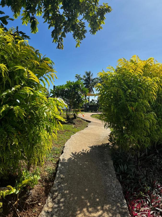 Camp Taveuni Hostel Matei Exterior photo