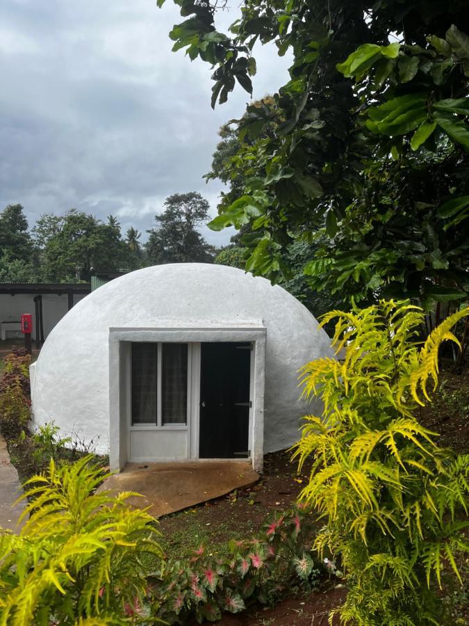 Camp Taveuni Hostel Matei Exterior photo